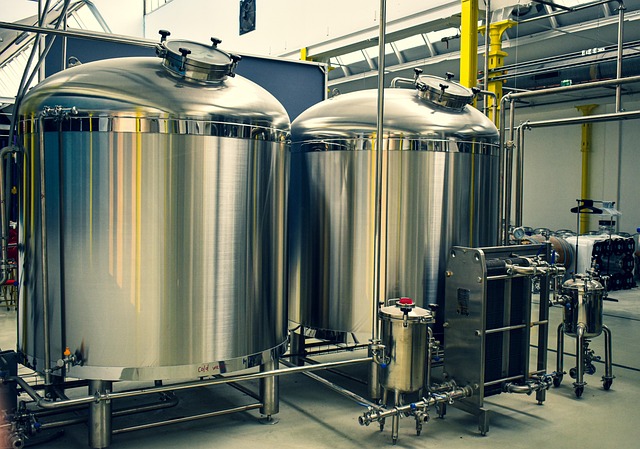 ** Czy tradycyjne metody fermentacji mąki mogą być inspiracją dla współczesnych badań nad probiotykami? - 3 2025