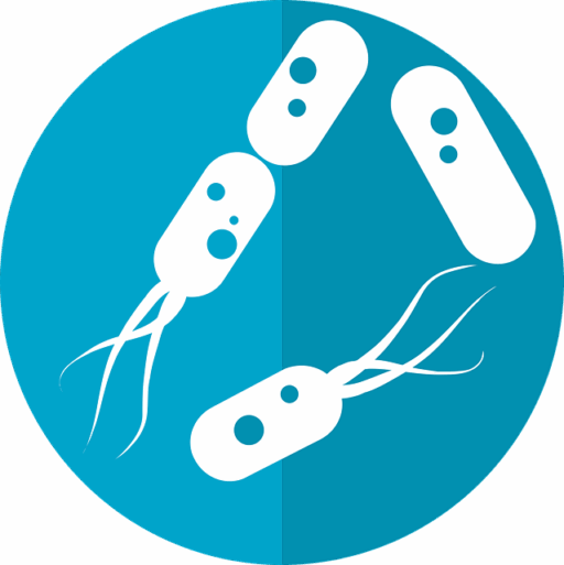 **Mikrobiom skóry po zabiegach balneoterapeutycznych z użyciem wód siarczkowych: analiza zmian i strategie optymalizacji** - 1 2025