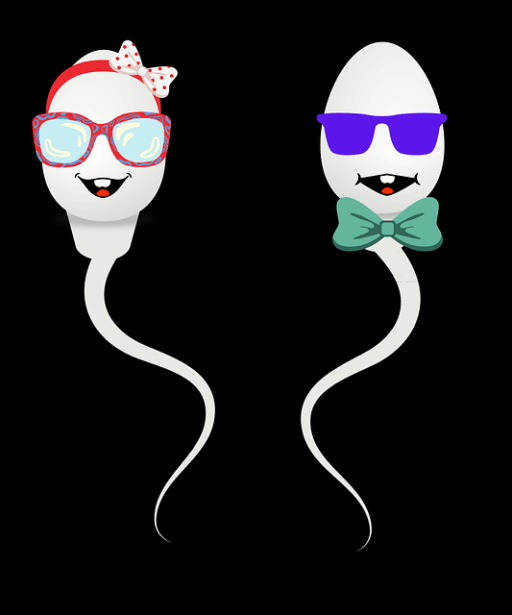 ** Ciche zapalenie a IVF: Czy redukcja stanu zapalnego może poprawić skuteczność zapłodnienia in vitro? - 1 2025