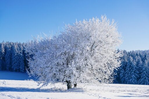 Zimowe wędrówki: Przygotowanie do wyzwań na szlakach pokrytych śniegiem - 1 2025