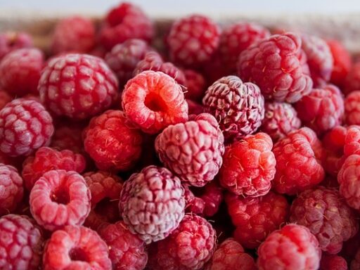 Tajemnice Domowej Produkcji Nalewki Malinowej - 9 2025